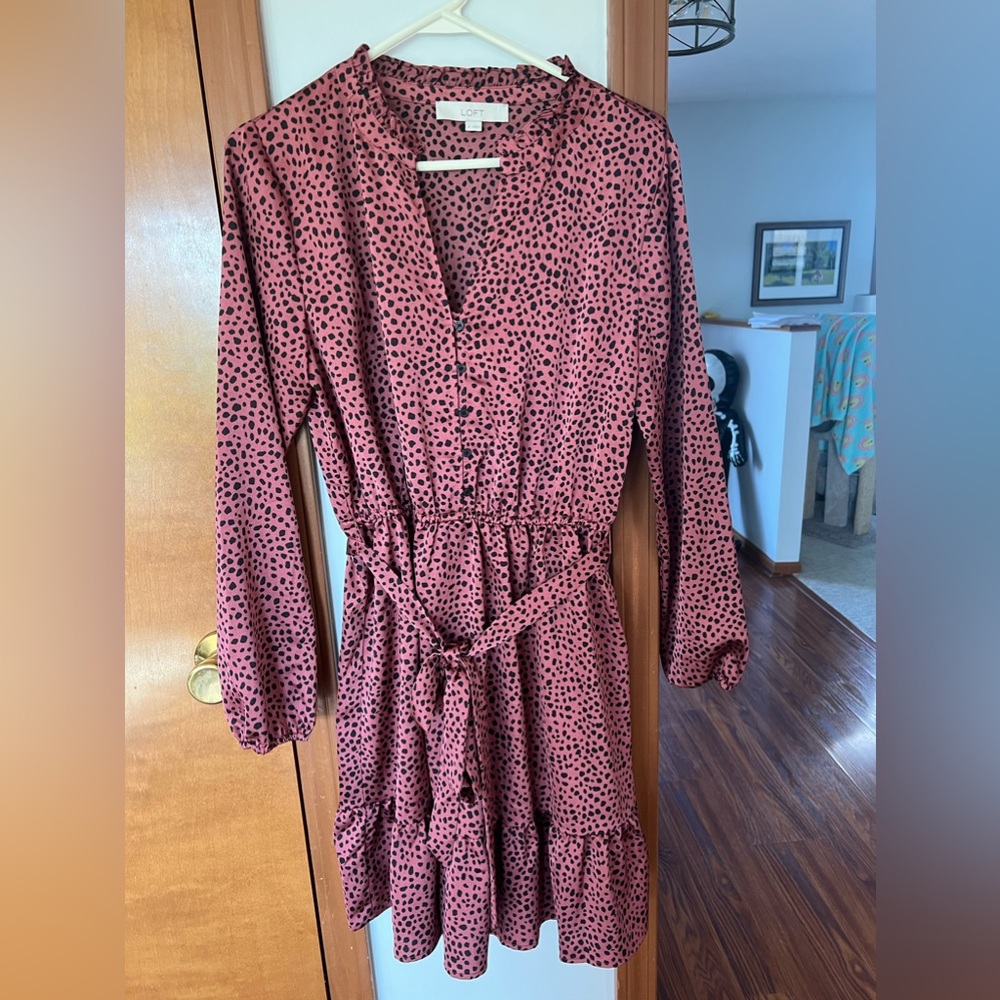 Like new Loft long sleeve dress